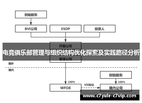 电竞俱乐部管理与组织结构优化探索及实践路径分析